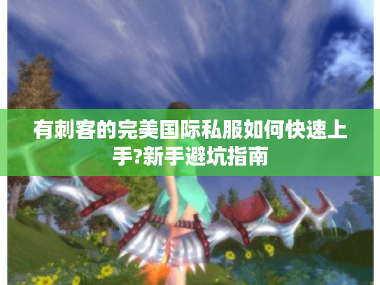 有刺客的完美国际私服如何快速上手?新手避坑指南