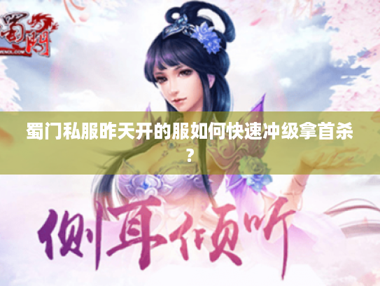 蜀门私服昨天开的服如何快速冲级拿首杀? 蜀门私服昨天开的服如何快速冲级拿首杀?