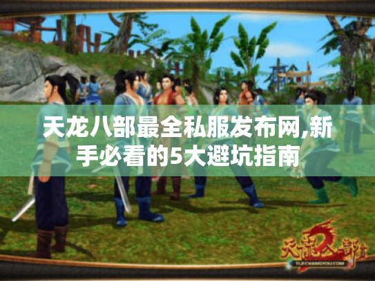 天龙八部最全私服发布网,新手必看的5大避坑指南 天龙八部最全私服发布网,新手必看的5大避坑指南