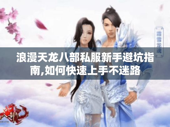 浪漫天龙八部私服新手避坑指南,如何快速上手不迷路
