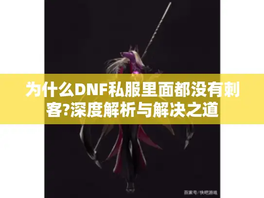 为什么DNF私服里面都没有刺客?深度解析与解决之道 为什么DNF私服里面都没有刺客?深度解析与解决之道