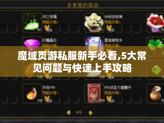 魔域页游私服新手必看,5大常见问题与快速上手攻略