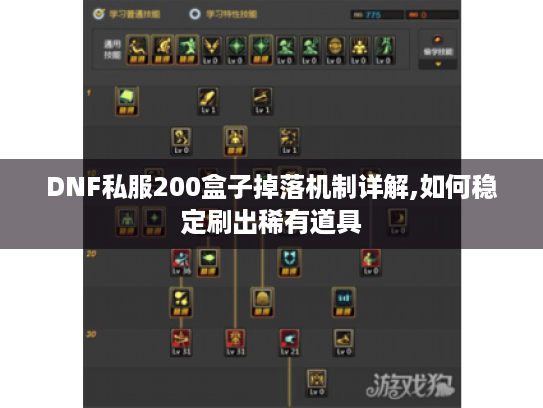 DNF私服200盒子掉落机制详解,如何稳定刷出稀有道具 DNF私服200盒子掉落机制详解,如何稳定刷出稀有道具