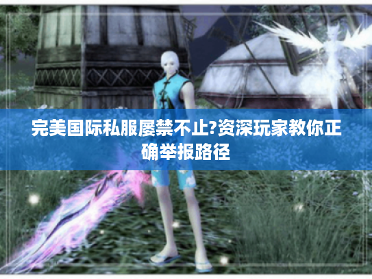完美国际私服屡禁不止?资深玩家教你正确举报路径