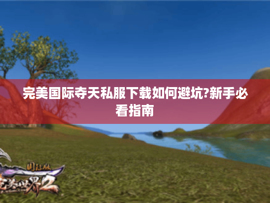 完美国际夺天私服下载如何避坑?新手必看指南