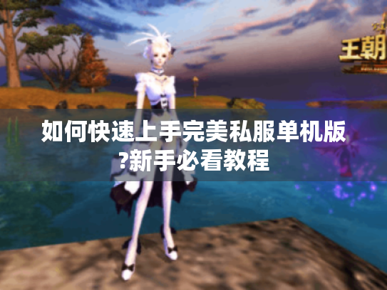 如何快速上手完美私服单机版?新手必看教程 如何快速上手完美私服单机版?新手必看教程