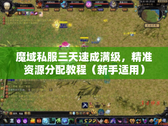 魔域私服三天速成满级，精准资源分配教程（新手适用）