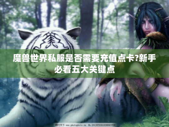 魔兽世界私服是否需要充值点卡?新手必看五大关键点 魔兽世界私服是否需要充值点卡?新手必看五大关键点