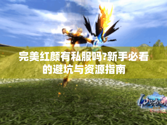 完美红颜有私服吗?新手必看的避坑与资源指南