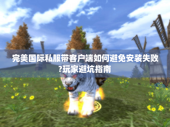 完美国际私服带客户端如何避免安装失败?玩家避坑指南