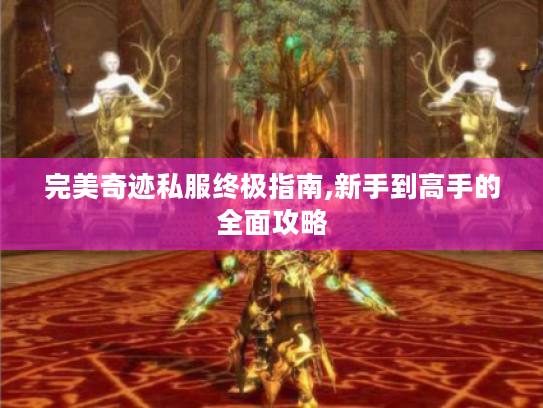 完美奇迹私服终极指南,新手到高手的全面攻略 完美奇迹私服终极指南,新手到高手的全面攻略