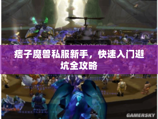 痞子魔兽私服新手，快速入门避坑全攻略