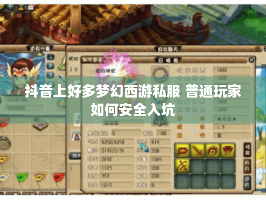 抖音上好多梦幻西游私服 普通玩家如何安全入坑