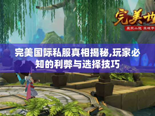 完美国际私服真相揭秘,玩家必知的利弊与选择技巧 完美国际私服真相揭秘,玩家必知的利弊与选择技巧
