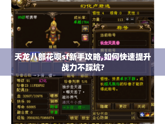天龙八部花呗sf新手攻略,如何快速提升战力不踩坑? 天龙八部花呗sf新手攻略,如何快速提升战力不踩坑?