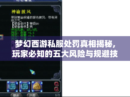 梦幻西游私服处罚真相揭秘,玩家必知的五大风险与规避技巧
