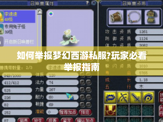 如何举报梦幻西游私服?玩家必看举报指南 如何举报梦幻西游私服?玩家必看举报指南