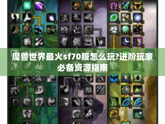 魔兽世界最火sf70服怎么玩?进阶玩家必备资源指南