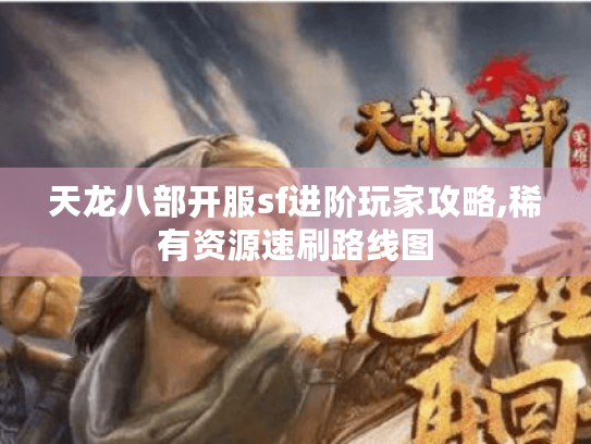天龙八部开服sf进阶玩家攻略,稀有资源速刷路线图