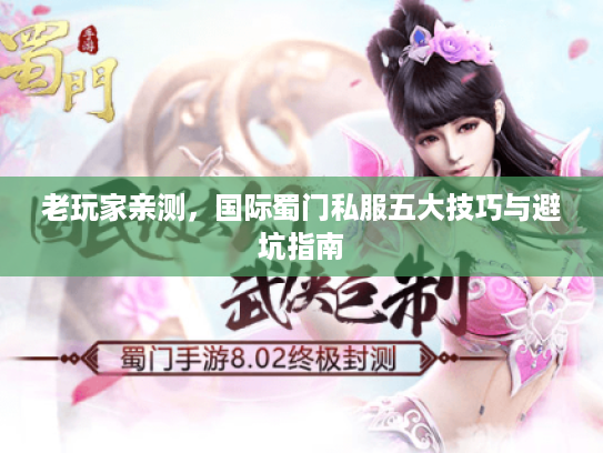 老玩家亲测，国际蜀门私服五大技巧与避坑指南