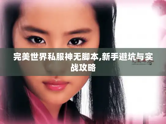 完美世界私服神无脚本,新手避坑与实战攻略