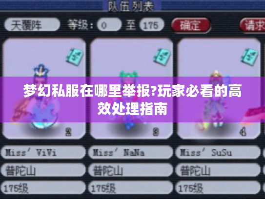 梦幻私服在哪里举报?玩家必看的高效处理指南