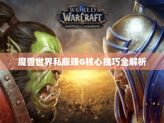 魔兽世界私服赚G核心技巧全解析