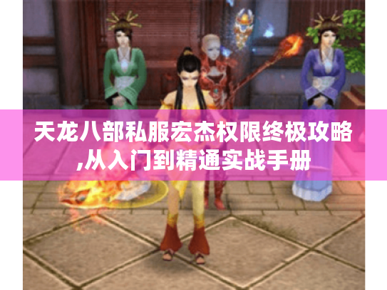 天龙八部私服宏杰权限终极攻略,从入门到精通实战手册