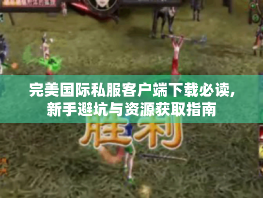 完美国际私服客户端下载必读,新手避坑与资源获取指南