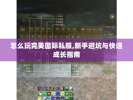 怎么玩完美国际私服,新手避坑与快速成长指南