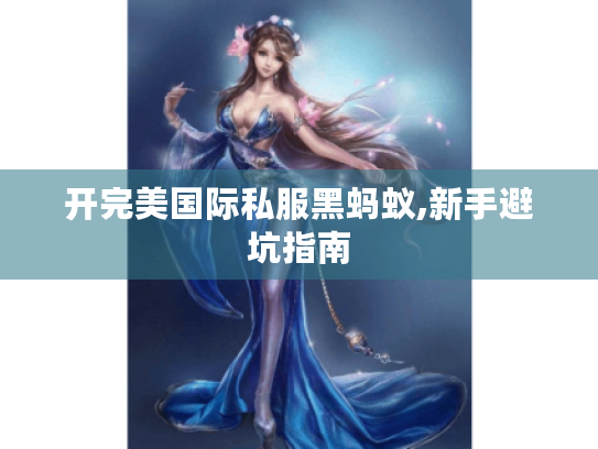 开完美国际私服黑蚂蚁,新手避坑指南 开完美国际私服黑蚂蚁,新手避坑指南