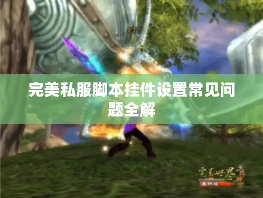 完美私服脚本挂件设置常见问题全解
