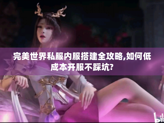 完美世界私服内服搭建全攻略,如何低成本开服不踩坑?