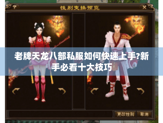 老牌天龙八部私服如何快速上手?新手必看十大技巧