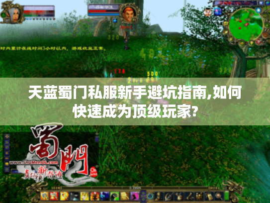 天蓝蜀门私服新手避坑指南,如何快速成为顶级玩家?