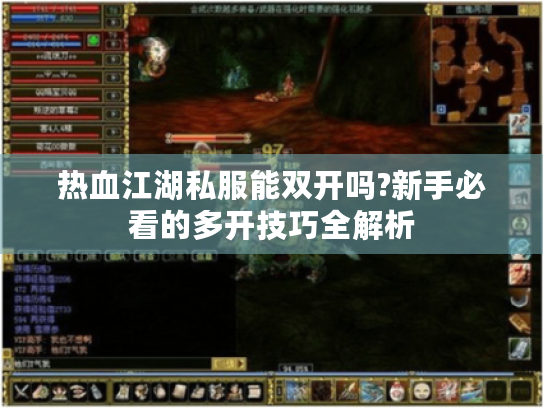 热血江湖私服能双开吗?新手必看的多开技巧全解析