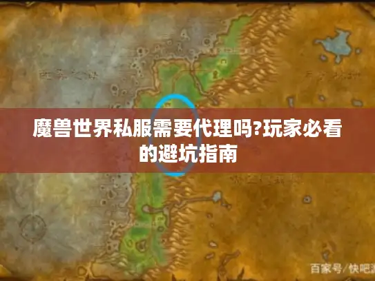 魔兽世界私服需要代理吗?玩家必看的避坑指南