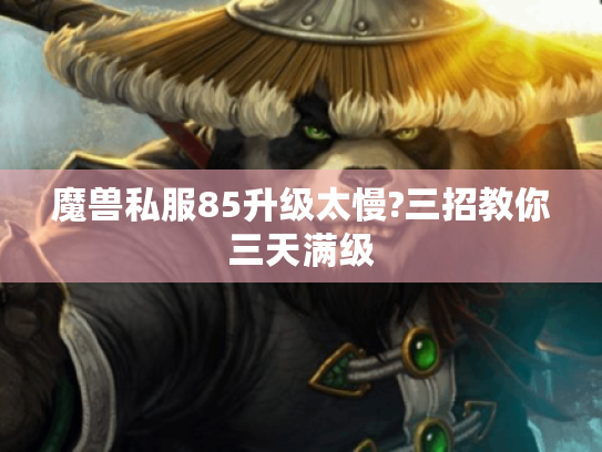 魔兽私服85升级太慢?三招教你三天满级 魔兽私服85升级太慢?三招教你三天满级