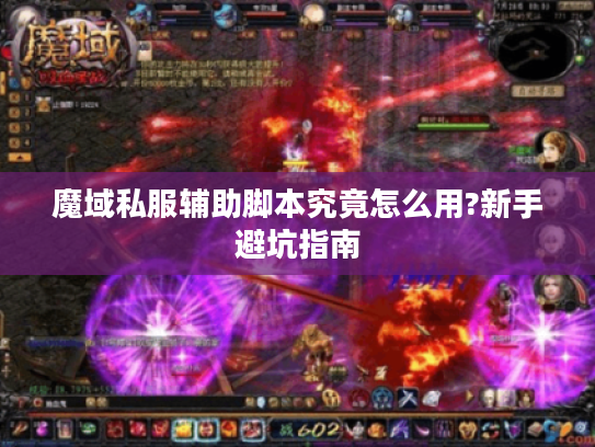 魔域私服辅助脚本究竟怎么用?新手避坑指南 魔域私服辅助脚本究竟怎么用?新手避坑指南