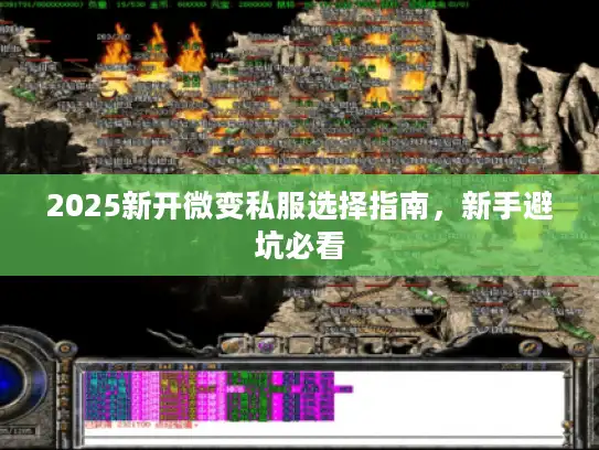 2025新开微变私服选择指南，新手避坑必看
