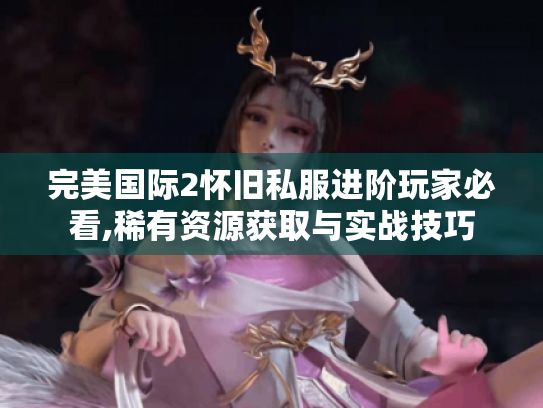 完美国际2怀旧私服进阶玩家必看,稀有资源获取与实战技巧