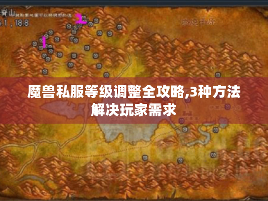 魔兽私服等级调整全攻略,3种方法解决玩家需求