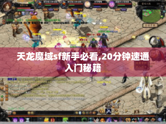 天龙魔域sf新手必看,20分钟速通入门秘籍 天龙魔域sf新手必看,20分钟速通入门秘籍