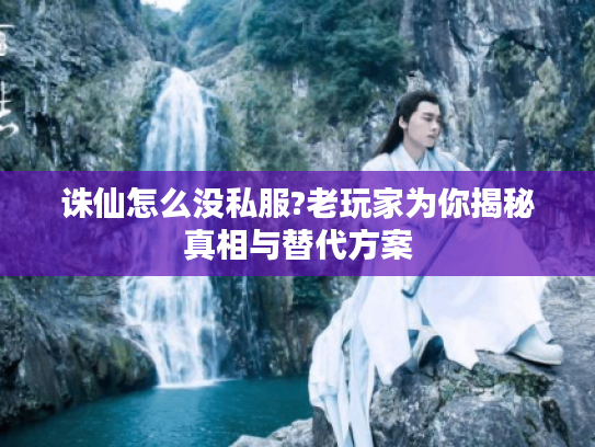 诛仙怎么没私服?老玩家为你揭秘真相与替代方案