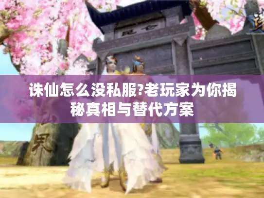 诛仙怎么没私服?老玩家为你揭秘真相与替代方案