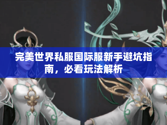 完美世界私服国际服新手避坑指南，必看玩法解析