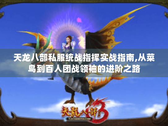 天龙八部私服统战指挥实战指南,从菜鸟到百人团战领袖的进阶之路 天龙八部私服统战指挥实战指南,从菜鸟到百人团战领袖的进阶之路