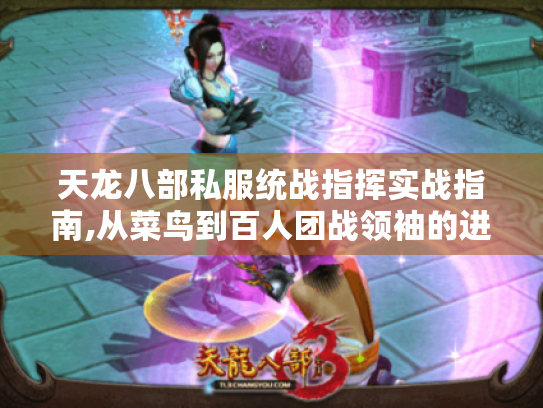 天龙八部私服统战指挥实战指南,从菜鸟到百人团战领袖的进阶之路 天龙八部私服统战指挥实战指南,从菜鸟到百人团战领袖的进阶之路