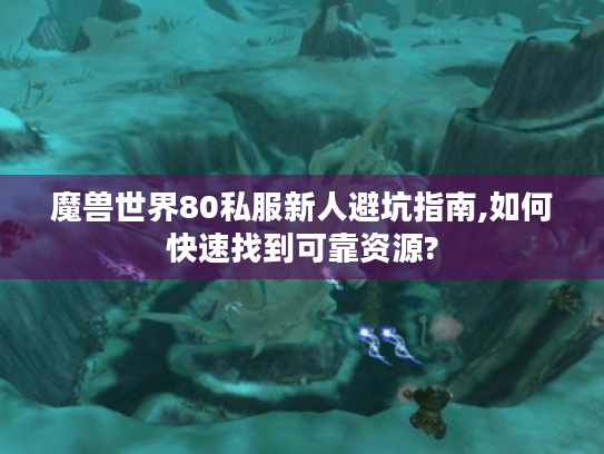 魔兽世界80私服新人避坑指南,如何快速找到可靠资源?