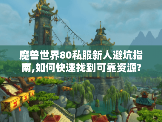 魔兽世界80私服新人避坑指南,如何快速找到可靠资源?
